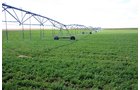 Property photo 42 - LAND AUCTION, 3255+/- Acres offered in 13 Tracts